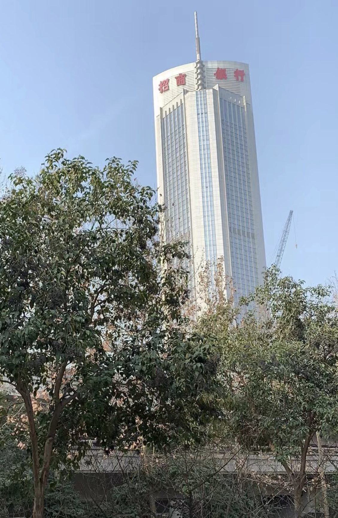 招商银行大厦